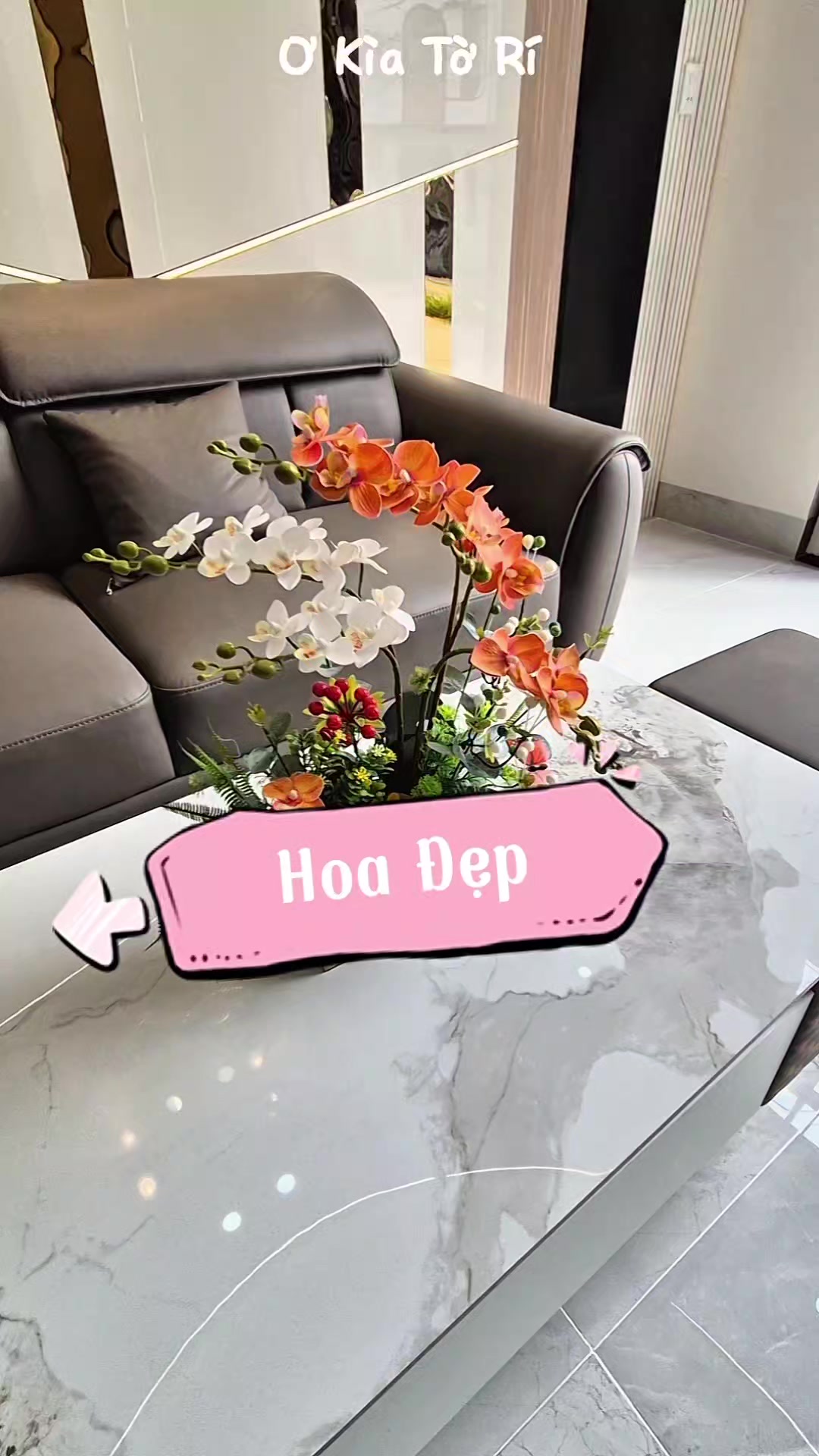 @Ơ Kìa Tờ Rí