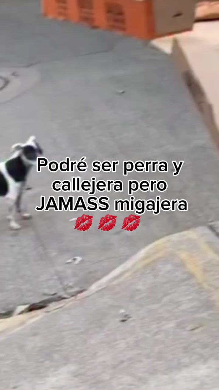 @paname&ntilde;adas507