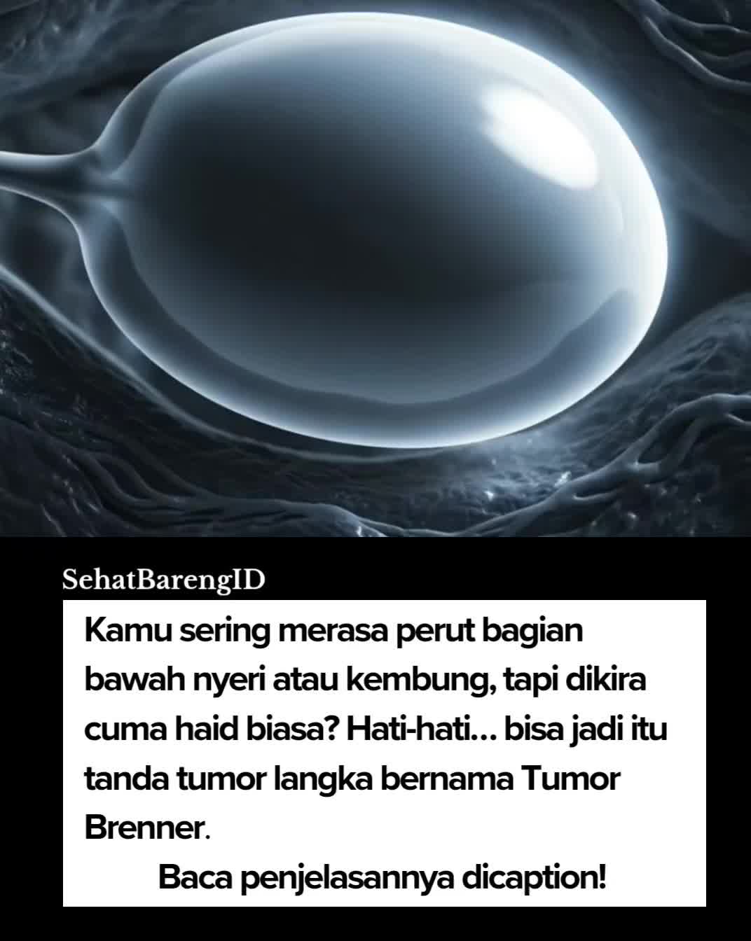 @SehatBarengID