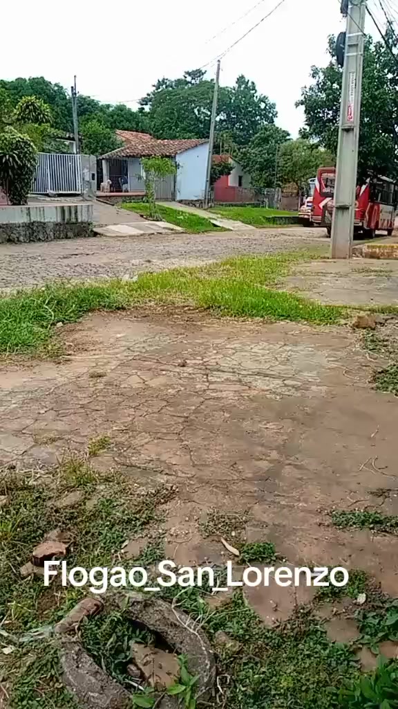 @flogao_san_lorenzo