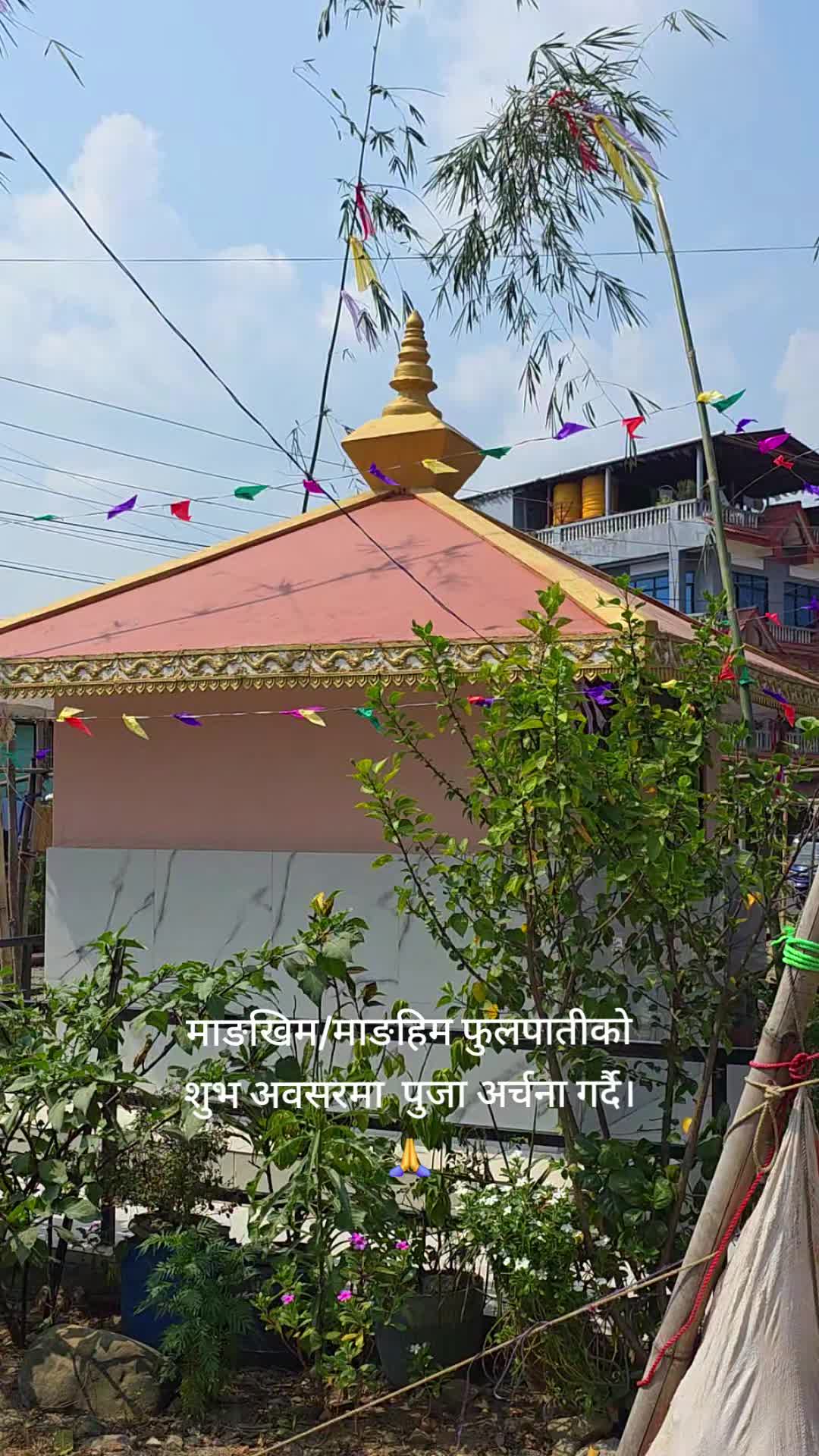 @pradip19786