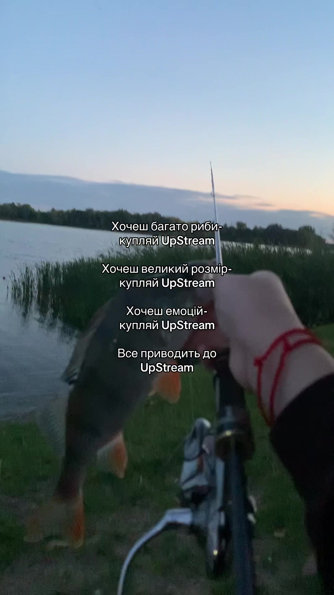 @High Fishing