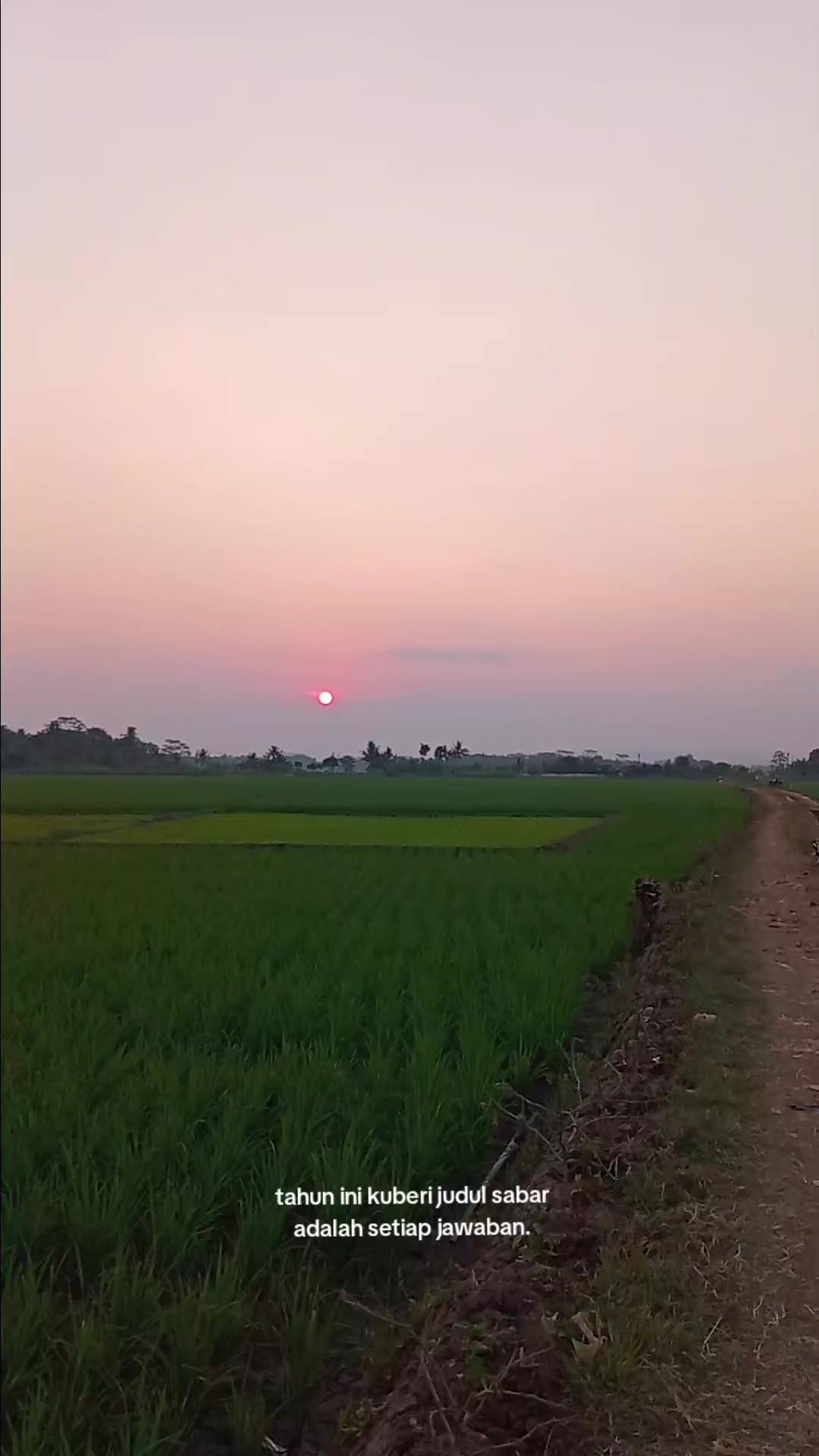 @ArifKingkong_