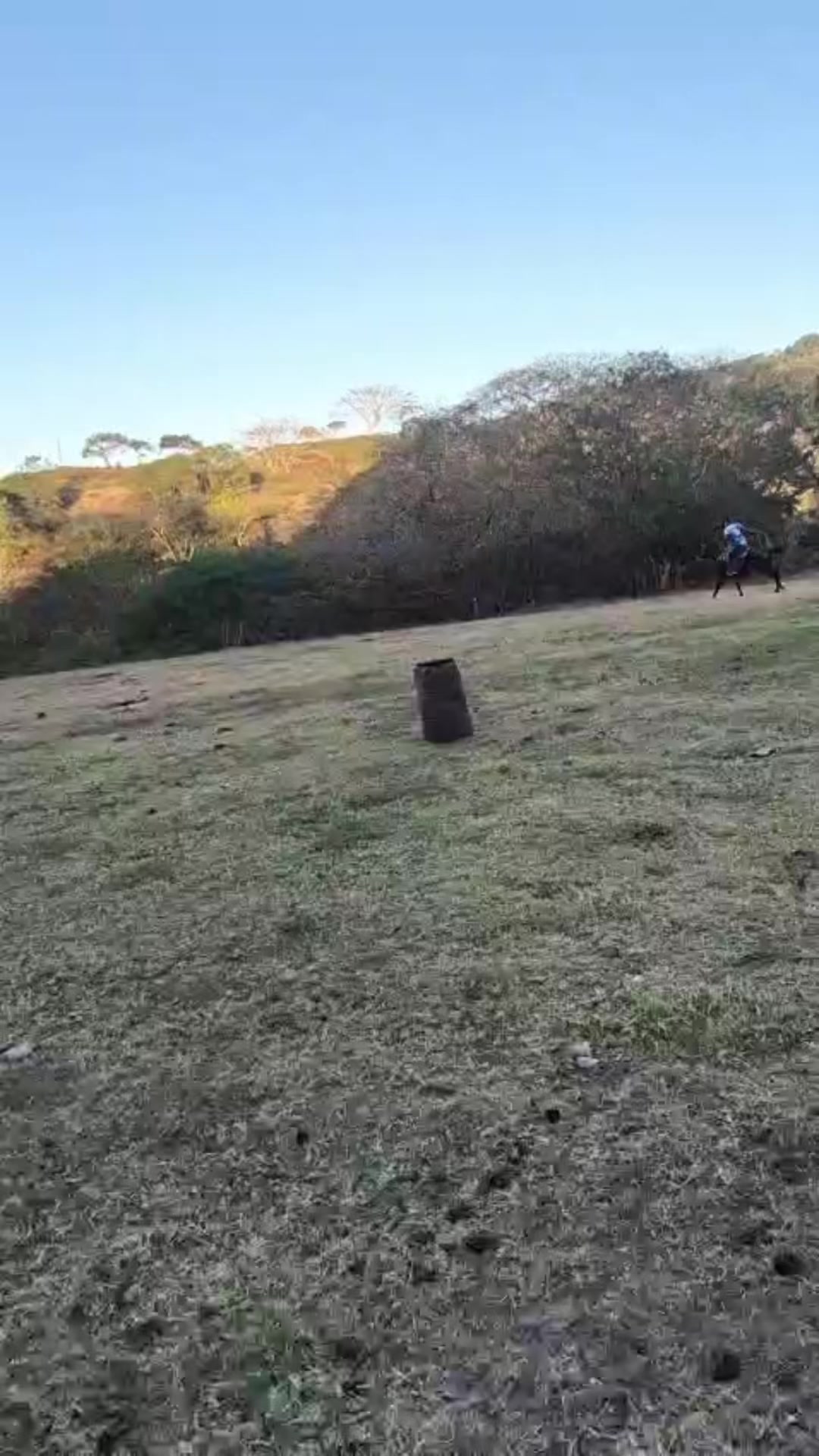 @alex_jr7788