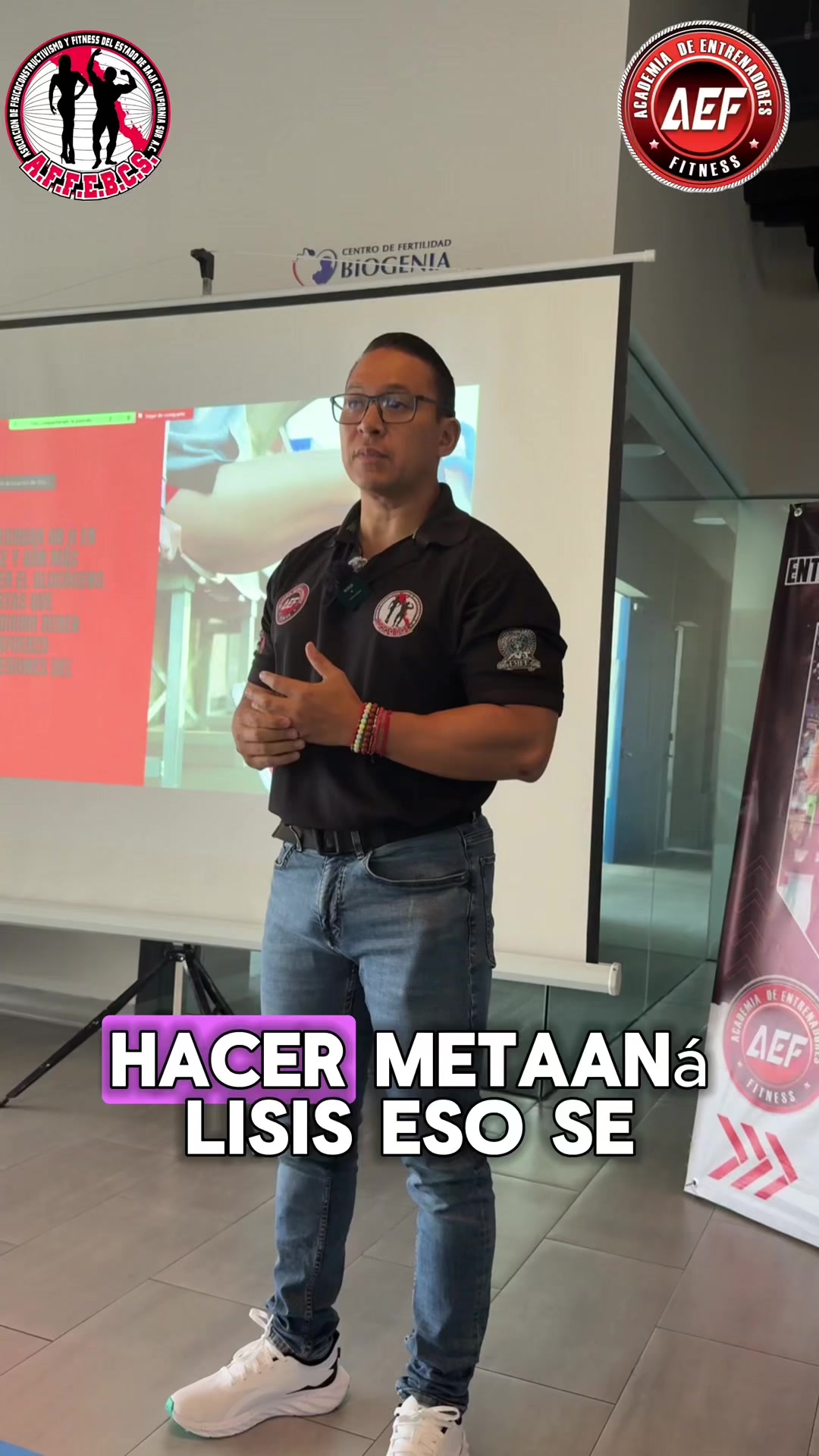 @aef_internacional