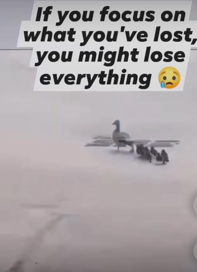 @Haywhy