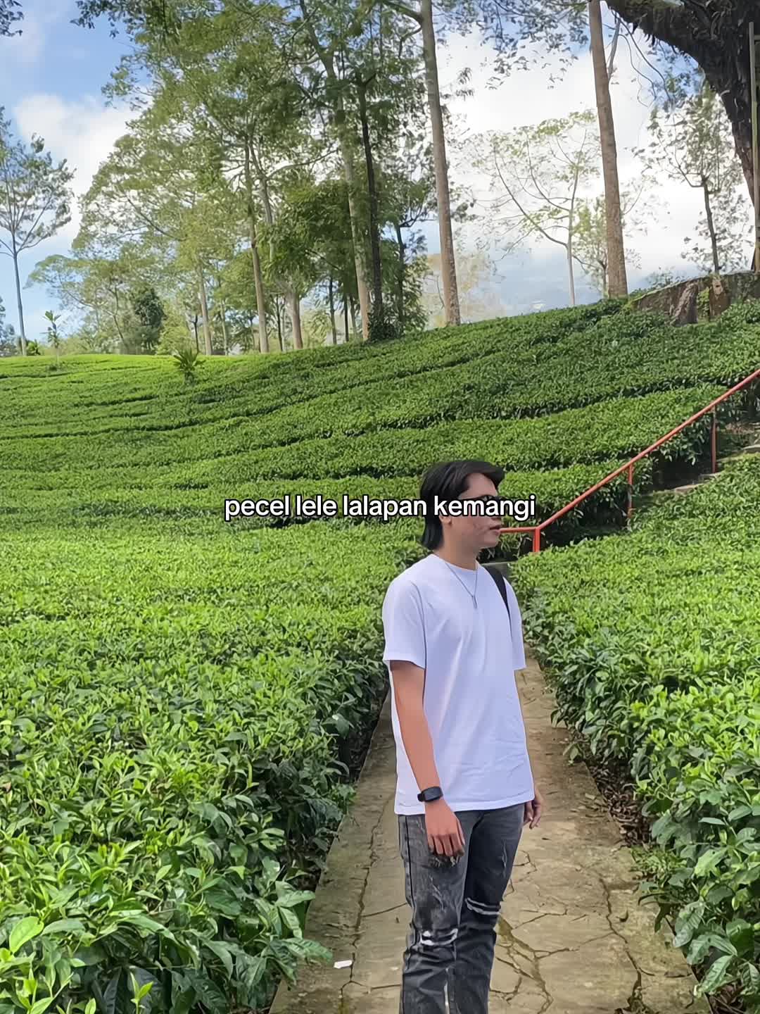 @Viandikaa
