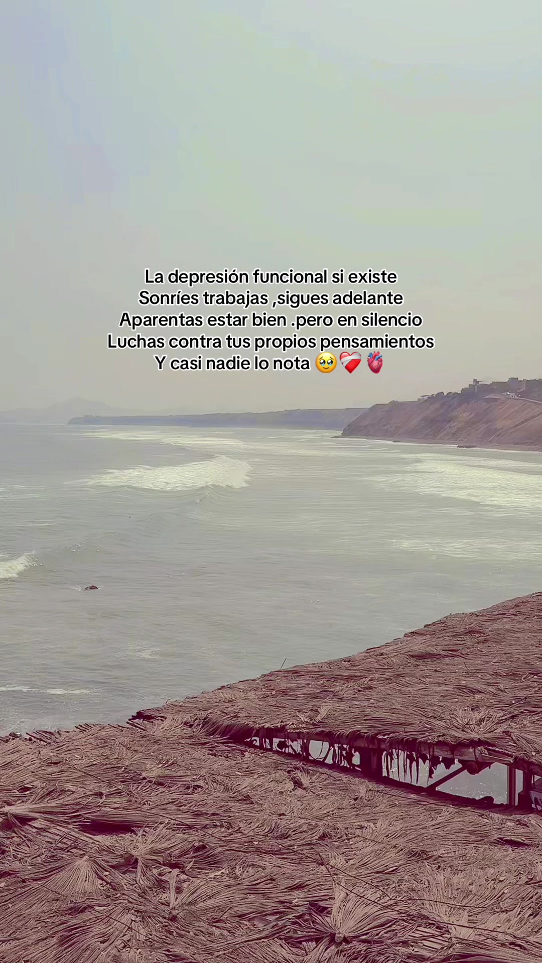 @Luz