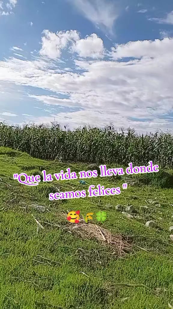 @jhoelgarciatello