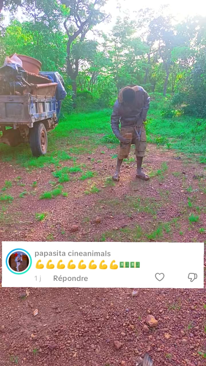 @soufaine