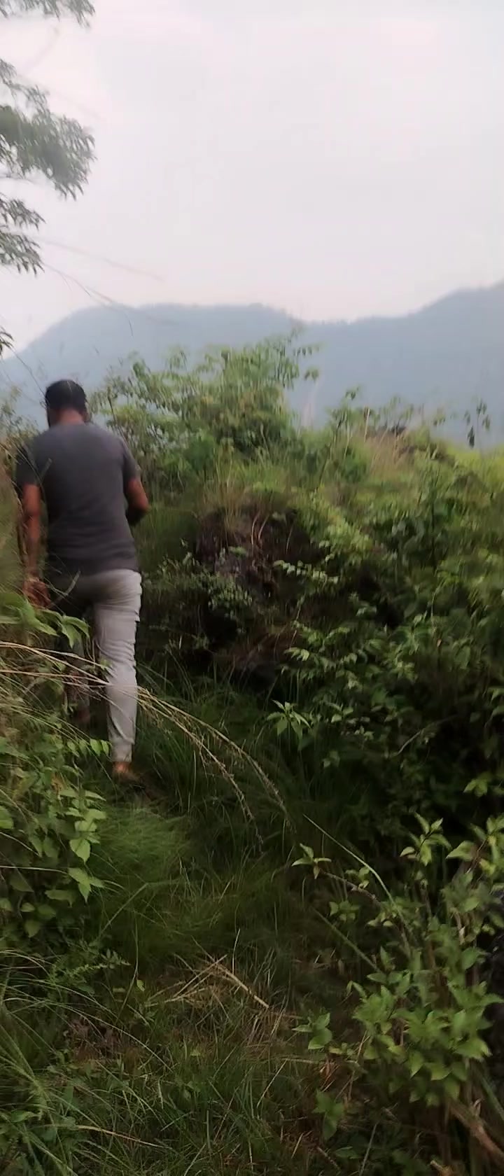 @prem kunwar.