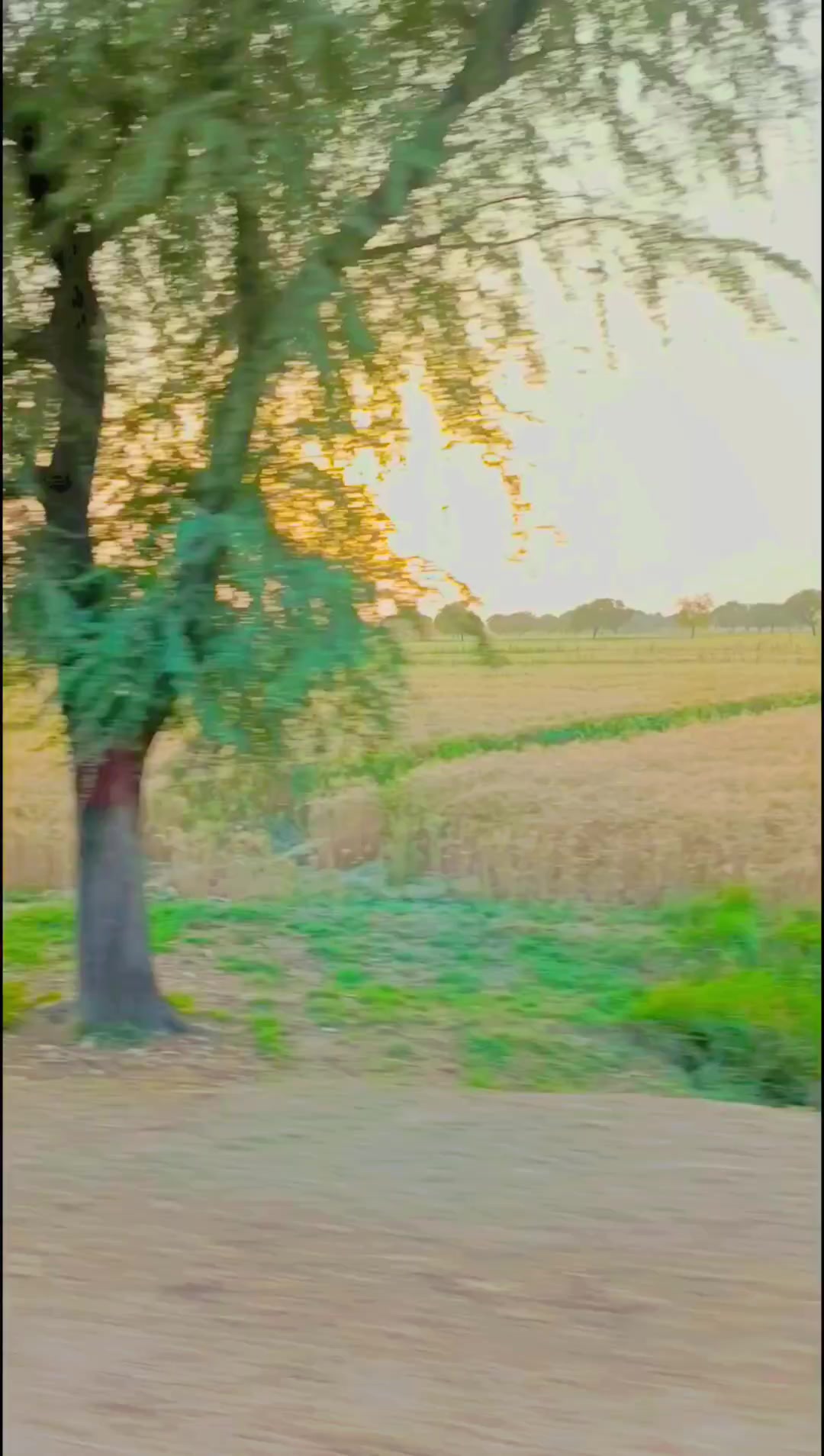 @deenmuhammadkhask8