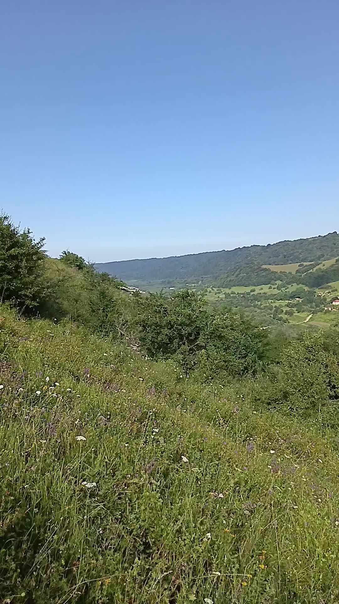 @qedir_94