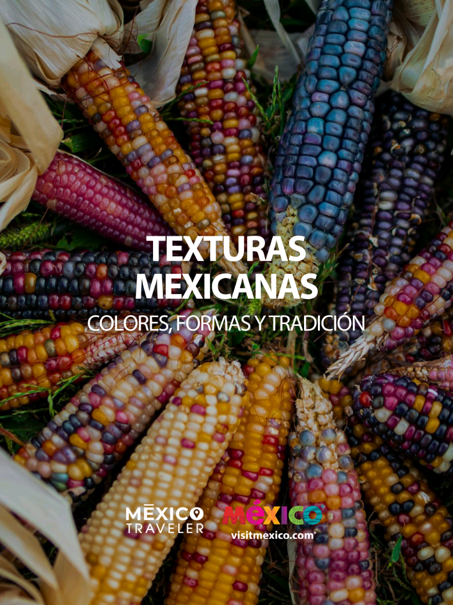 @M&eacute;xico Traveler