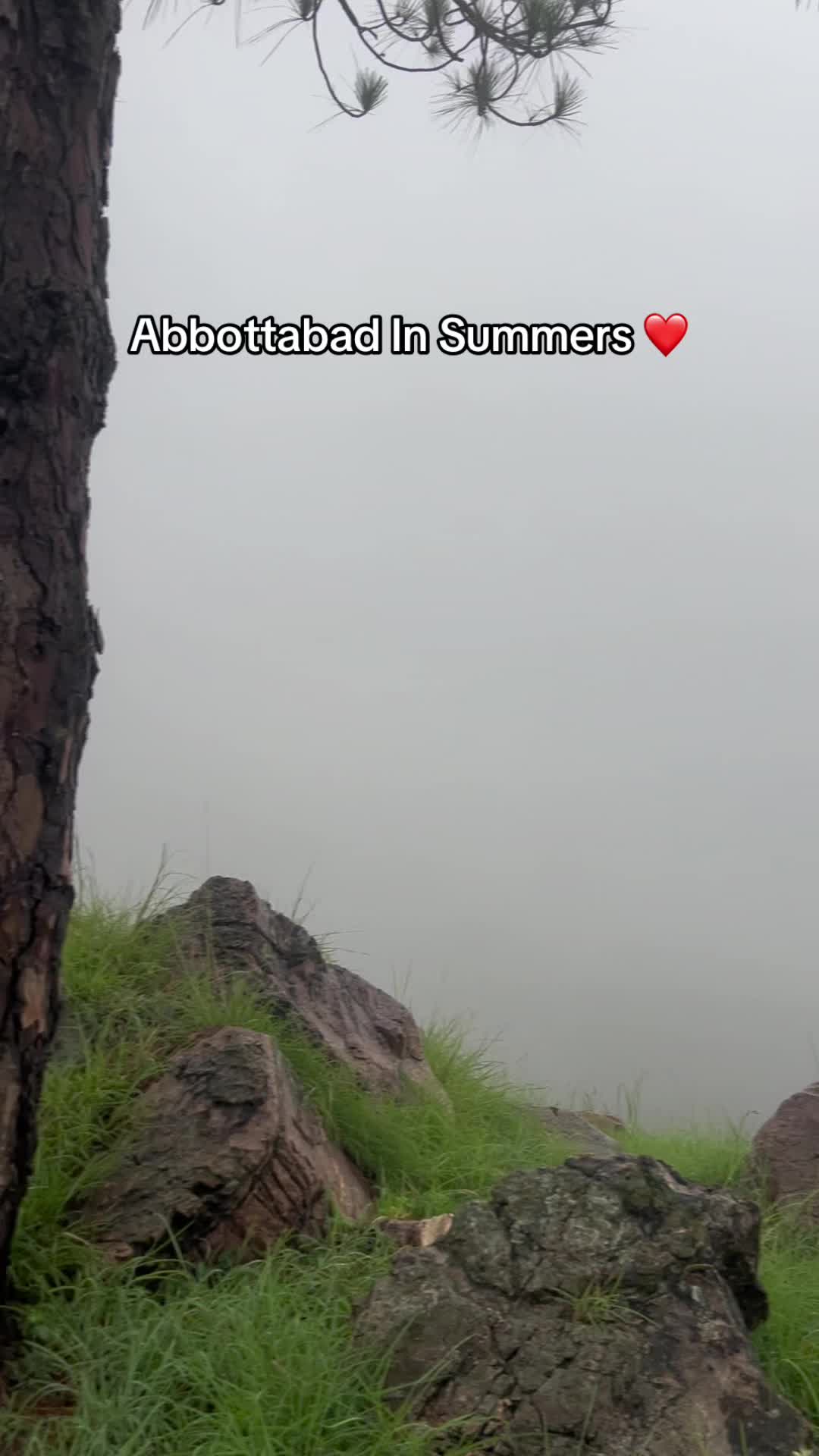 @Abdullah Shots 🥀