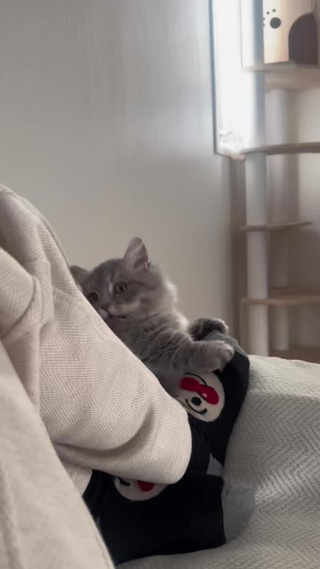 @M33♡