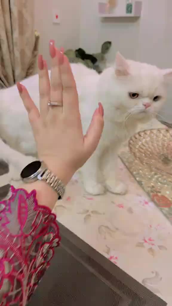 @❤( Sana khani )❤
