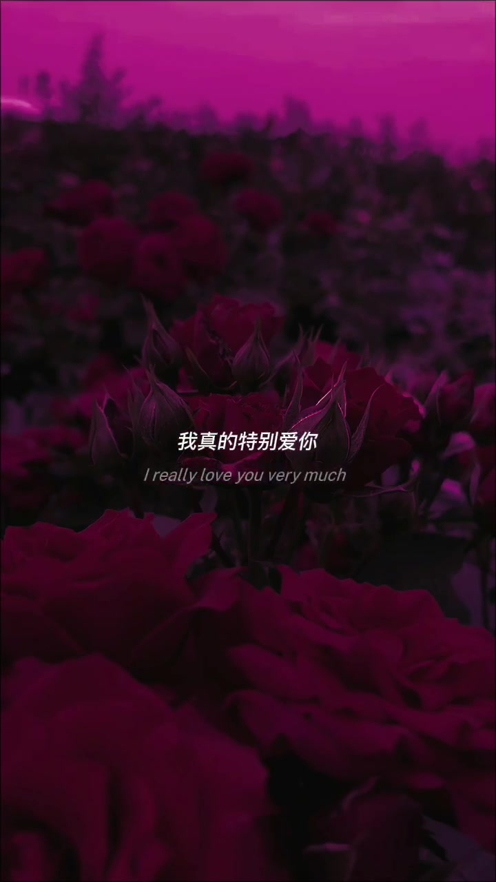 @MinnnHieuu Music🎧