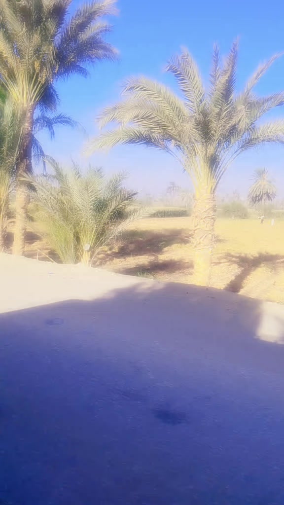 @خاطفة الانظار 🍒