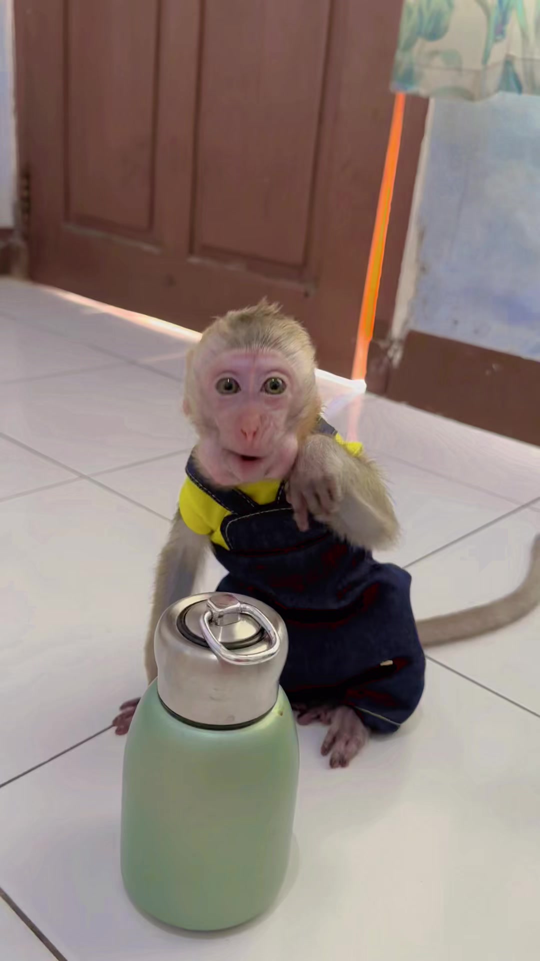 @Michelle🐒