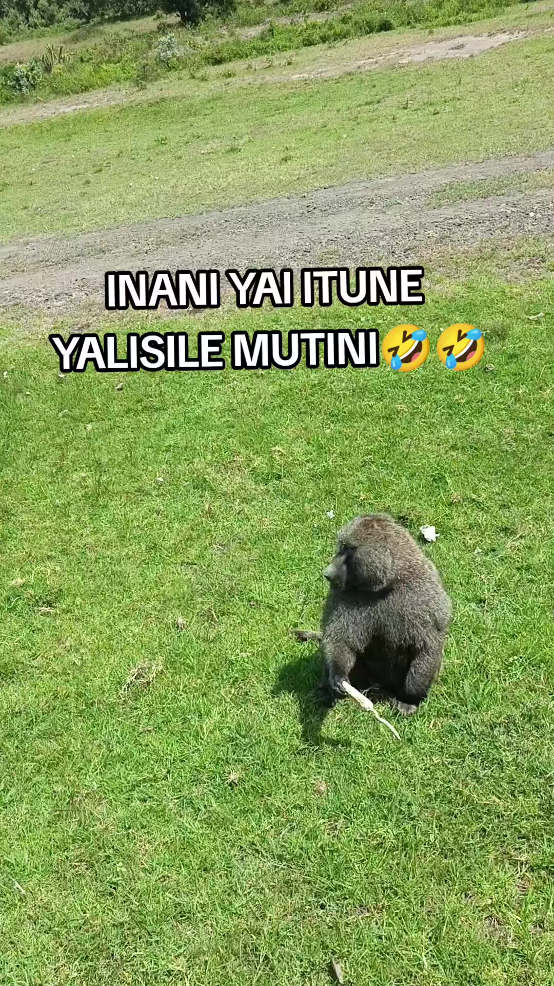 @NDUMBULE