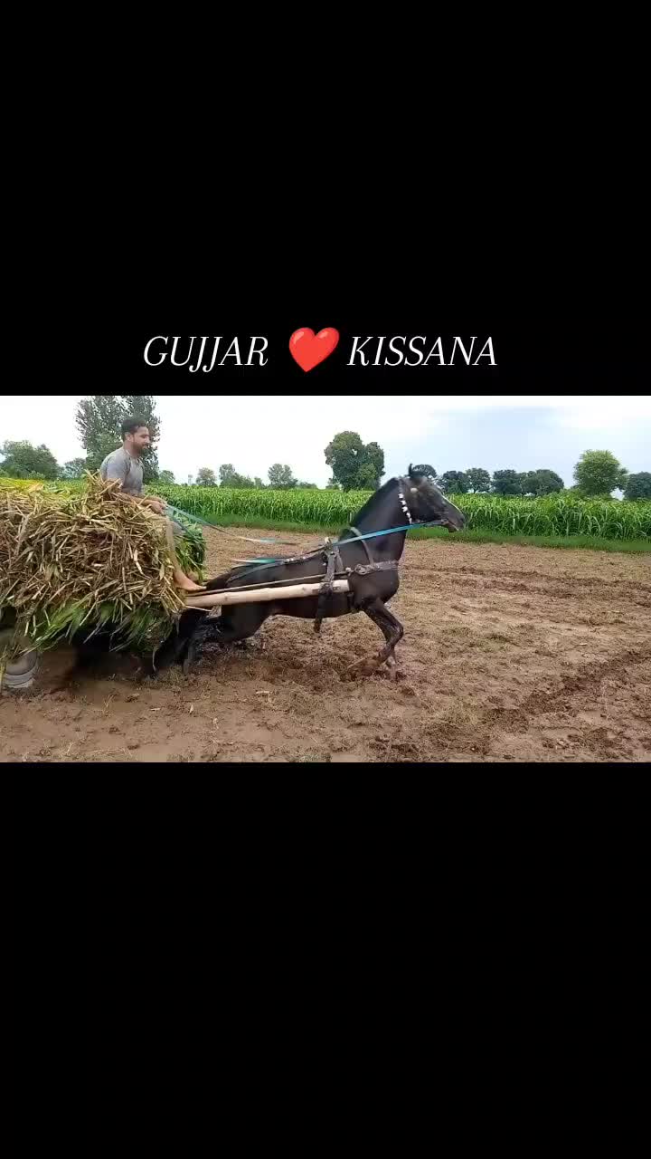 @𝐆𝐔𝐉𝐉𝐀𝐑 𝐊𝐈𝐒𝐒𝐀𝐍𝐀55