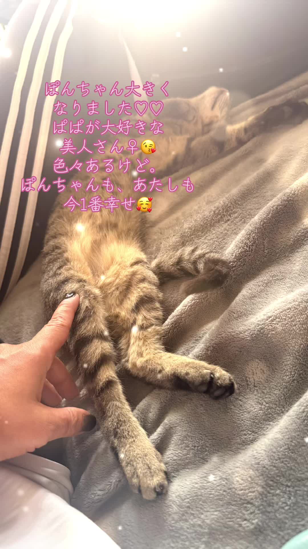 @🦊女帝あすか様👱♂️👱🏼♀️ 🗻☃️🥚🩷