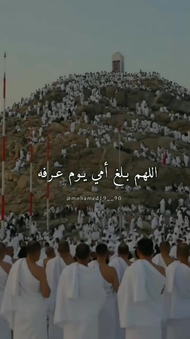 @mohamed