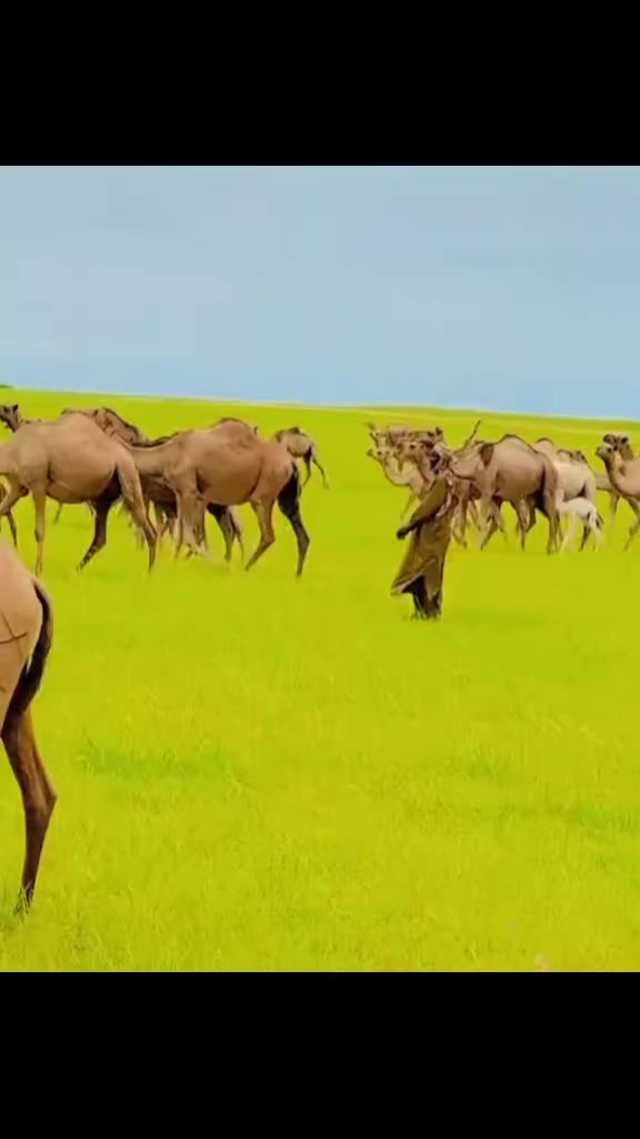 @Voix du Konoum