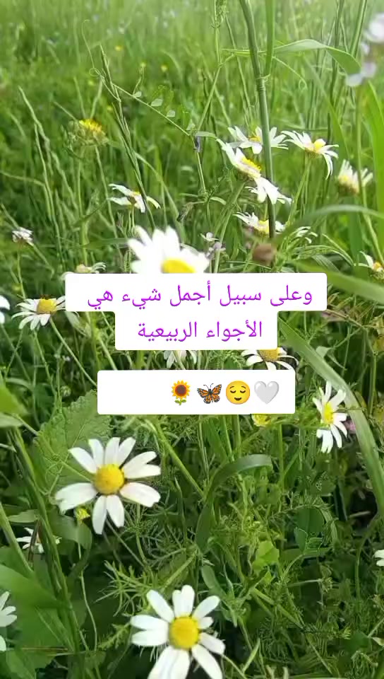 @Ghada Alomari