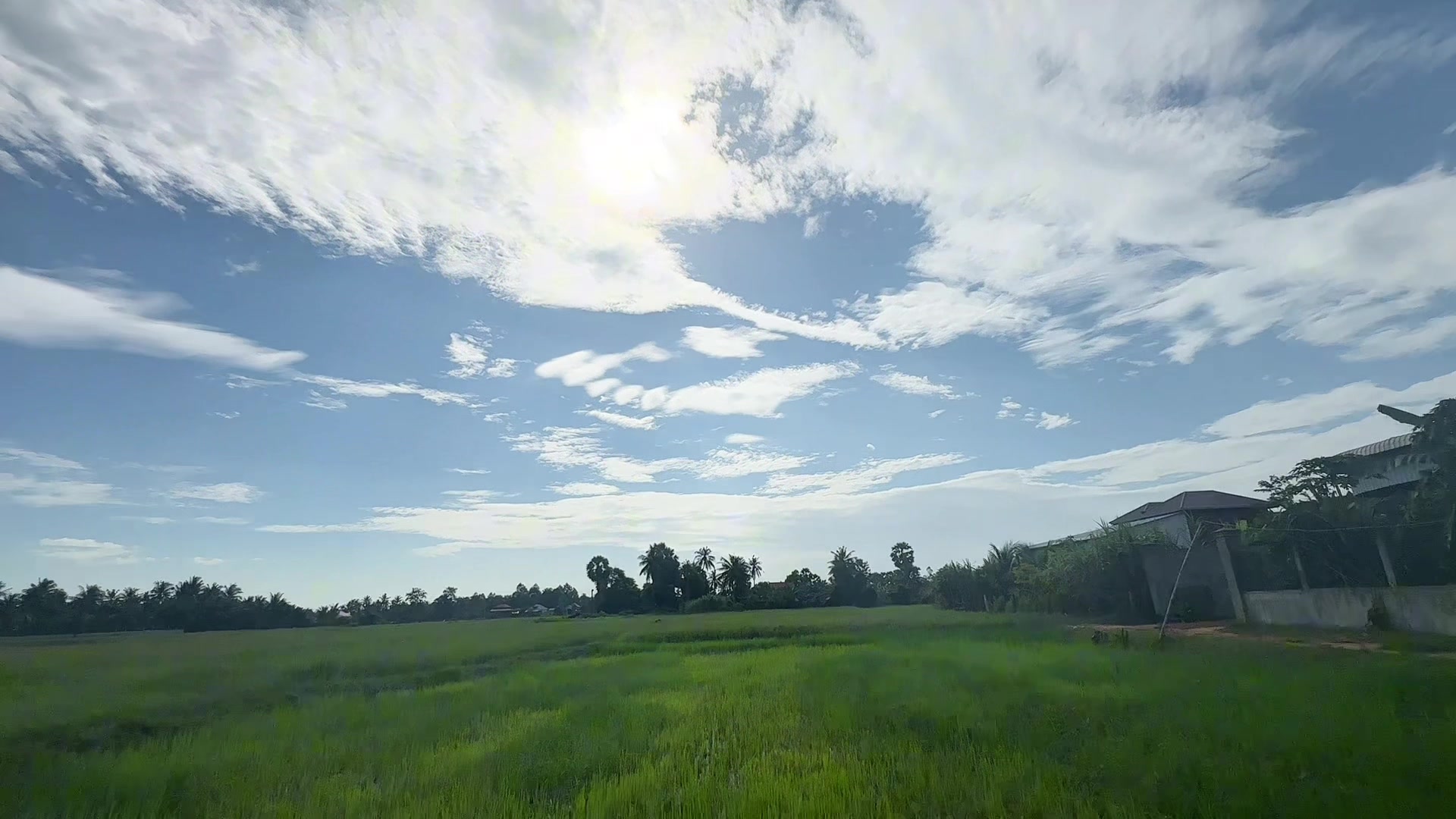 @សឿន វណ្ណា - सोएन् वण्णा 🌾💚🌅