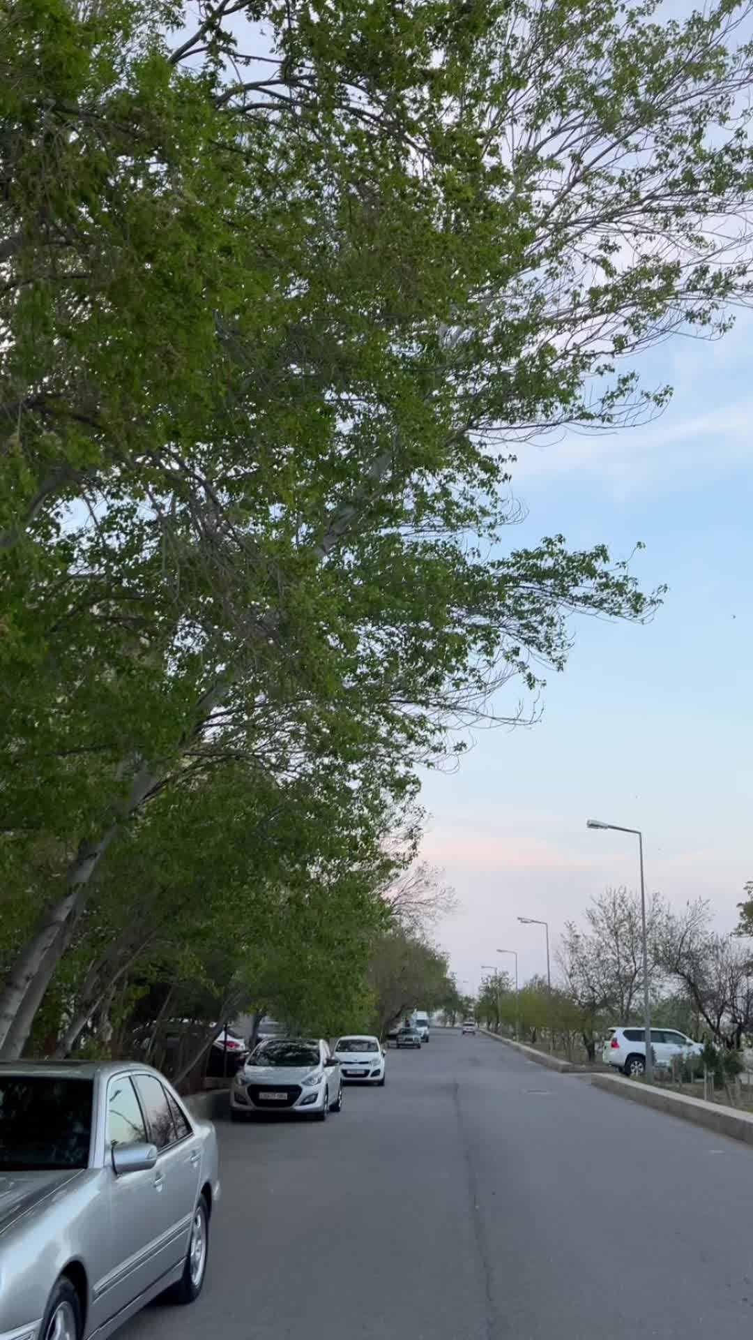 @002🇦🇿