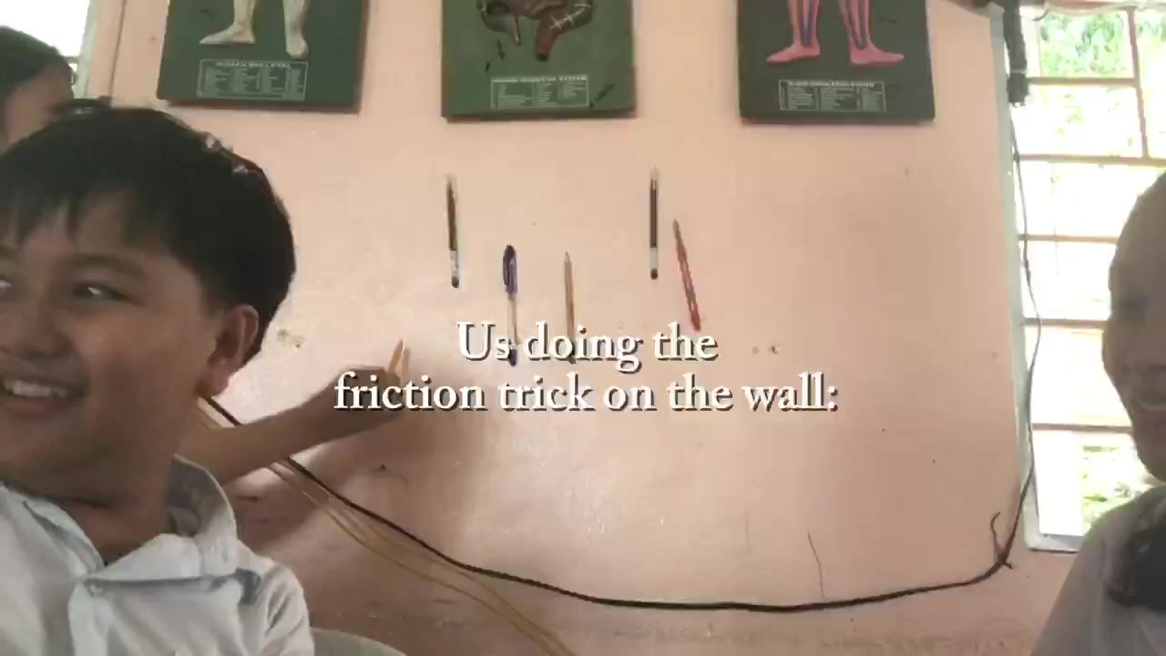 @6- CARNATION! 🌸