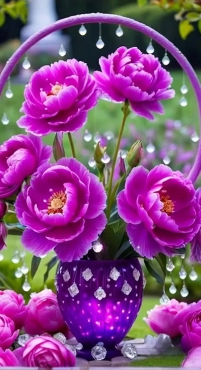@◄&diams;&loz;Vera&loz;&diams;►