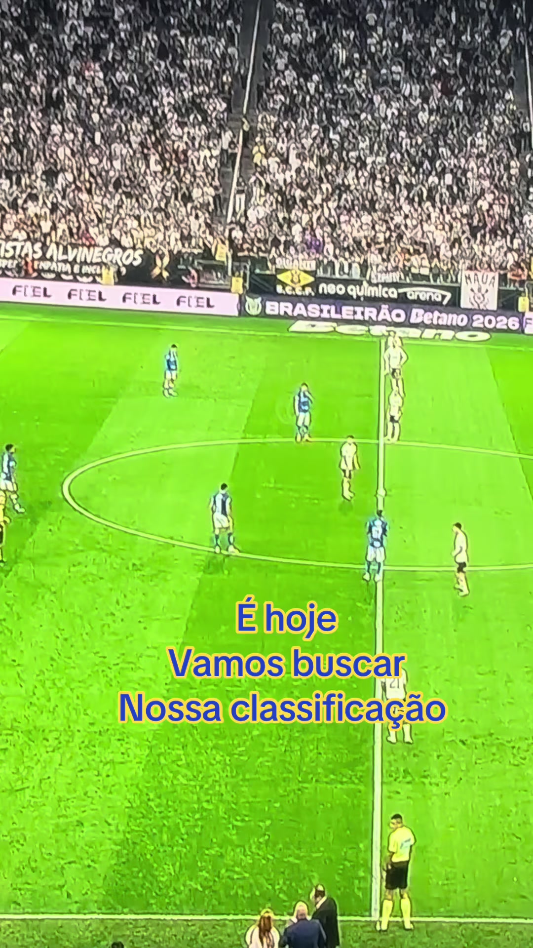 @Link do Cruzeiro