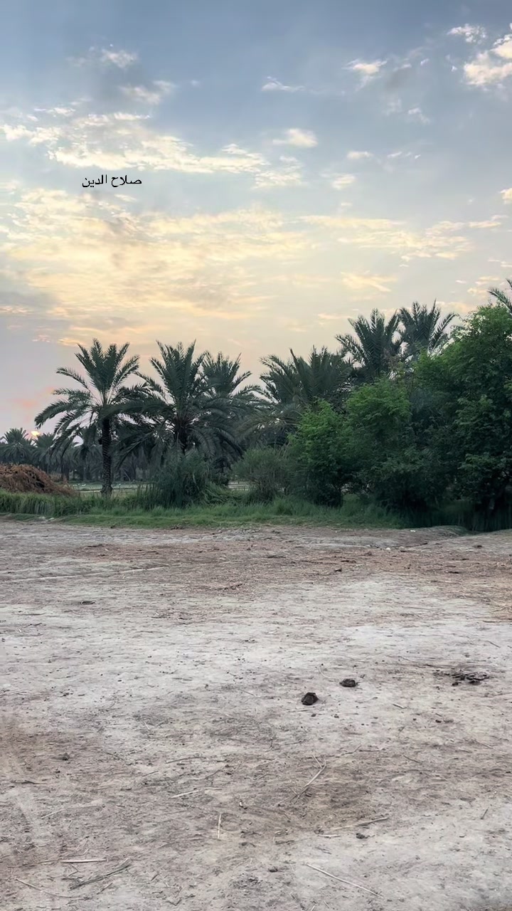 @گمنام ✍️