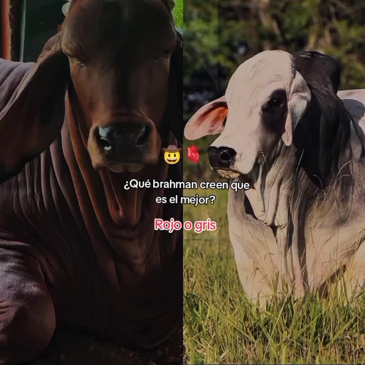 @Robin๐๐๐ค ๐ค ๐๐๐ฌ๐น๐ฌ๐น