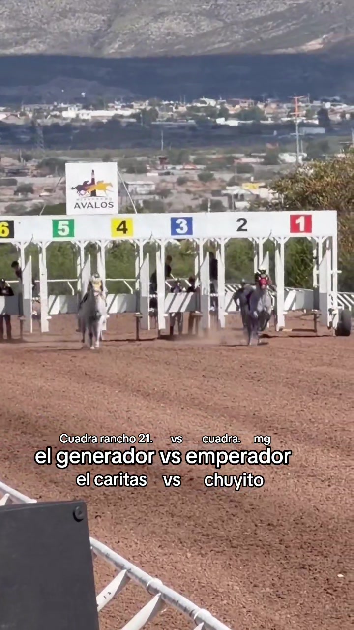 @carriles altos de jalisco🐎