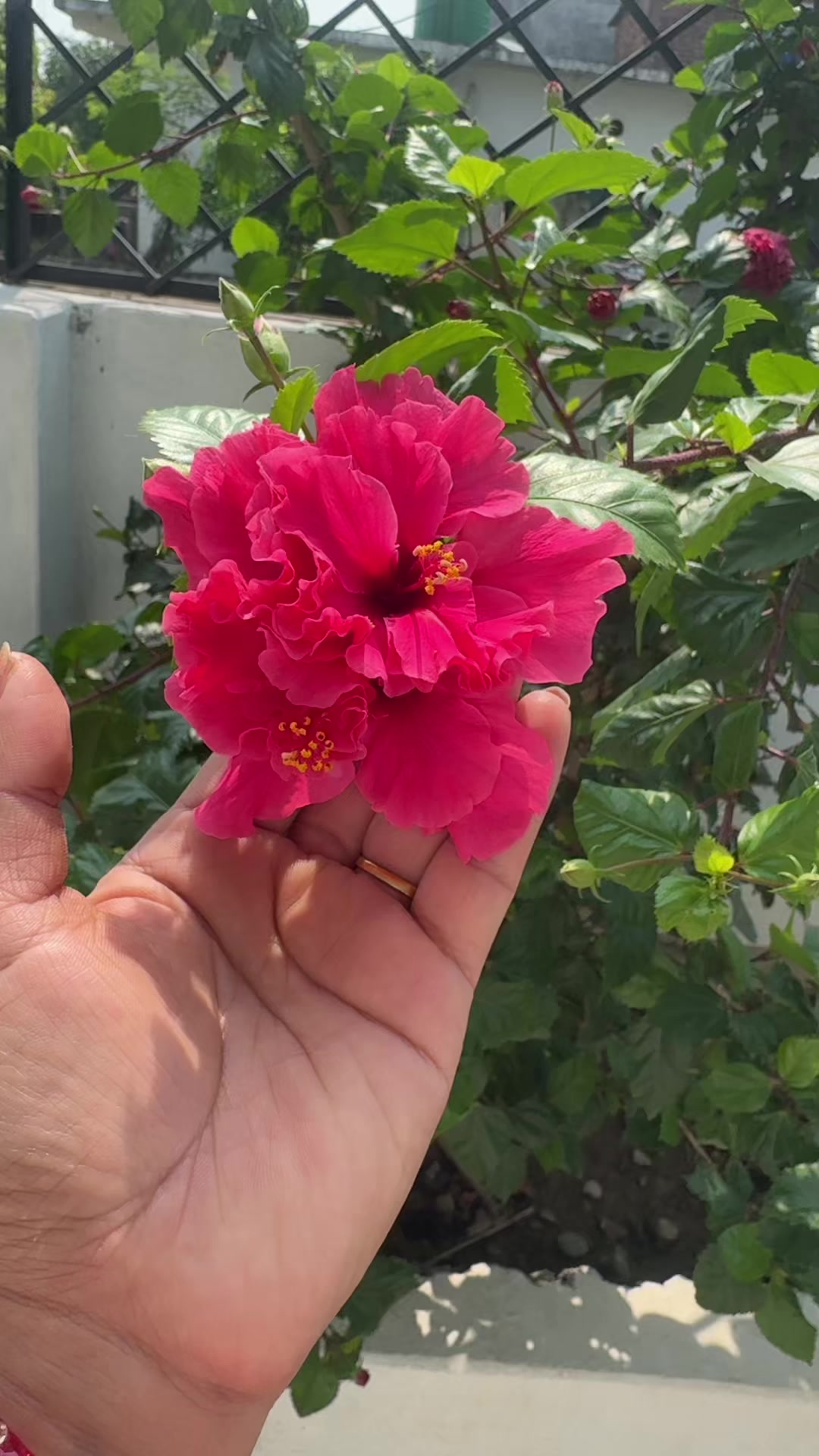 @Ishwari🧿🪬