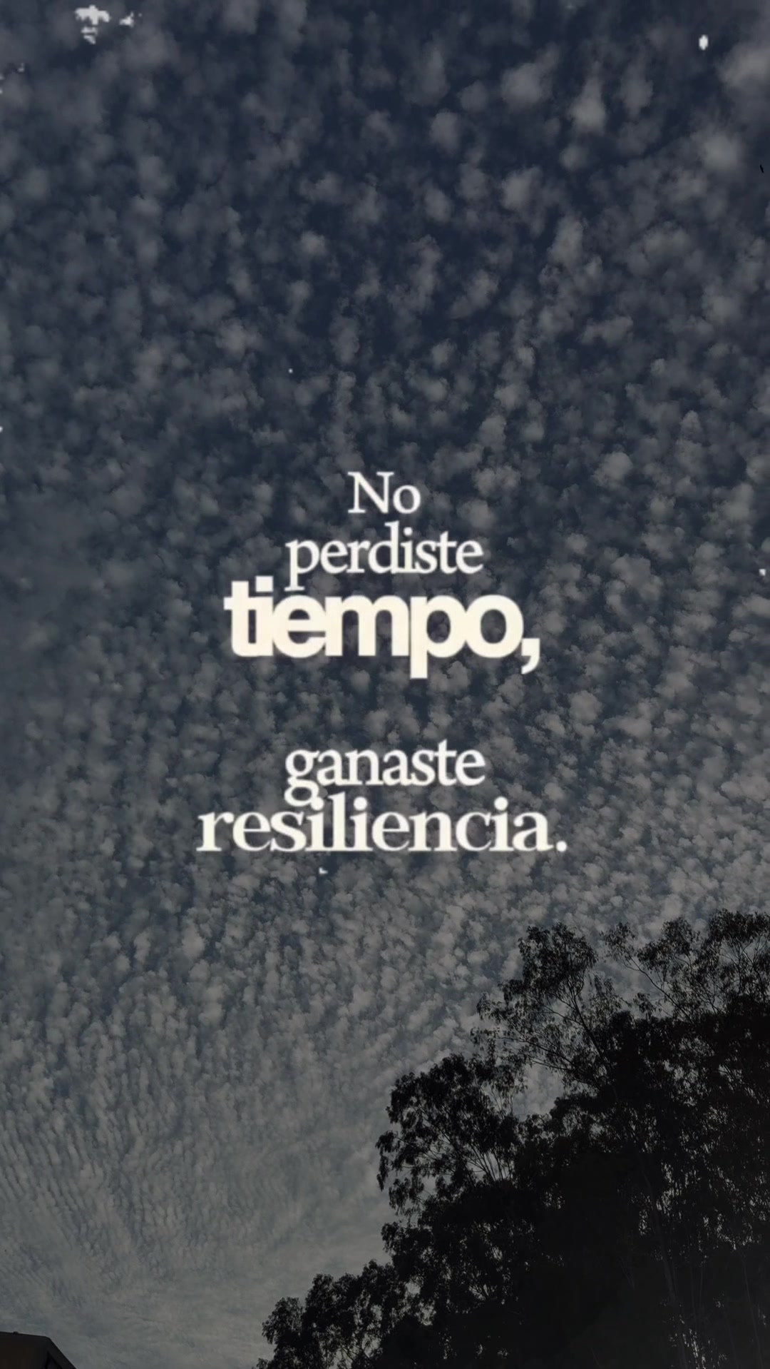 @camdradep