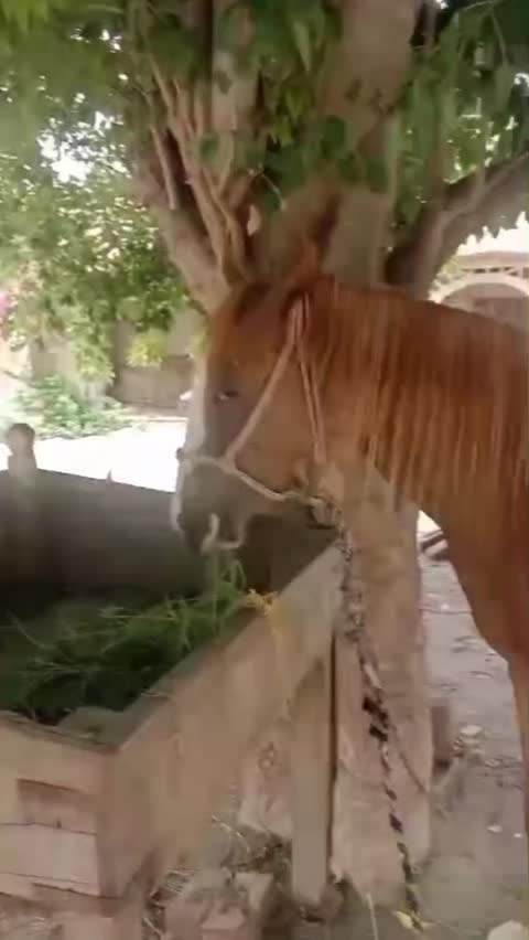 @Ameer kazmi5
