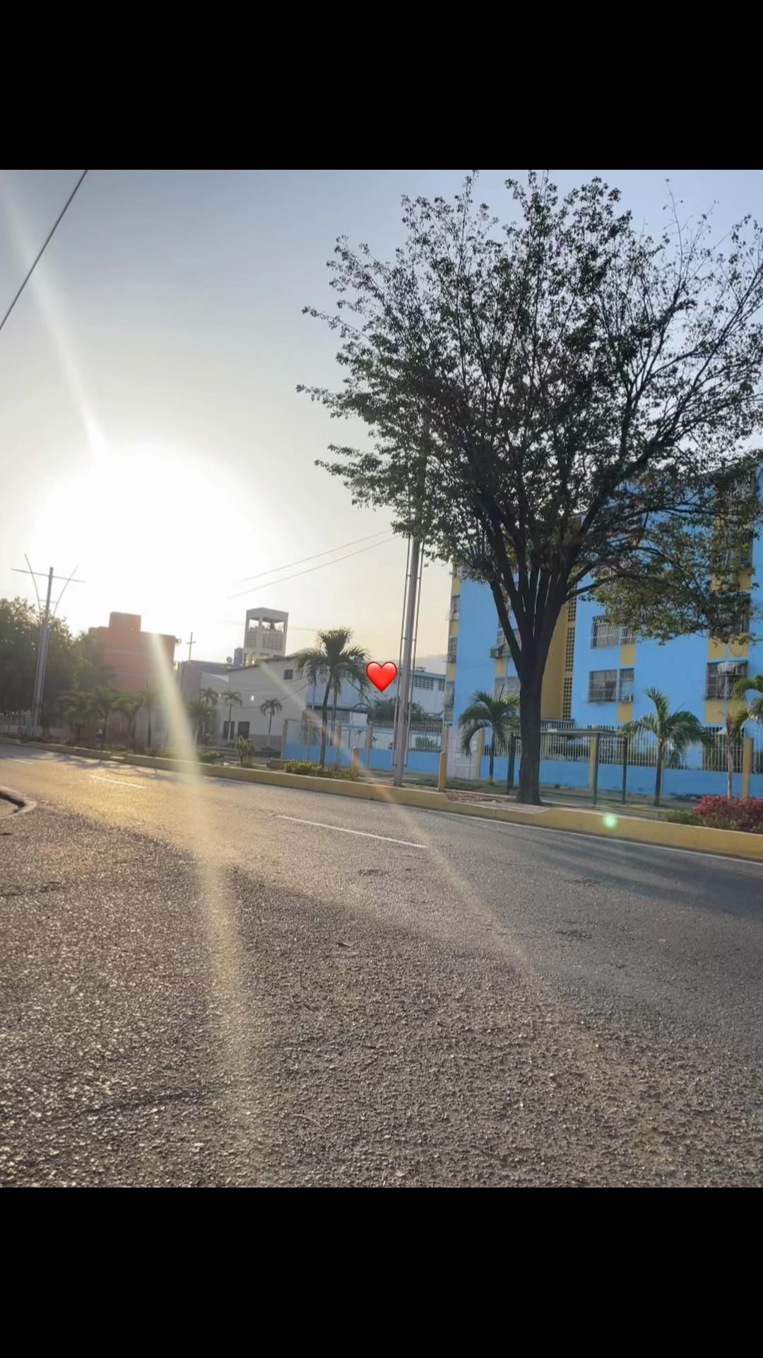 @roncatusalsa