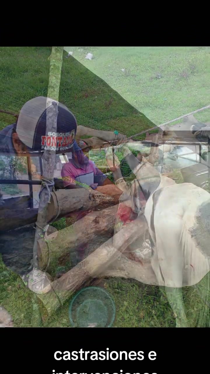 @Gerson sosa