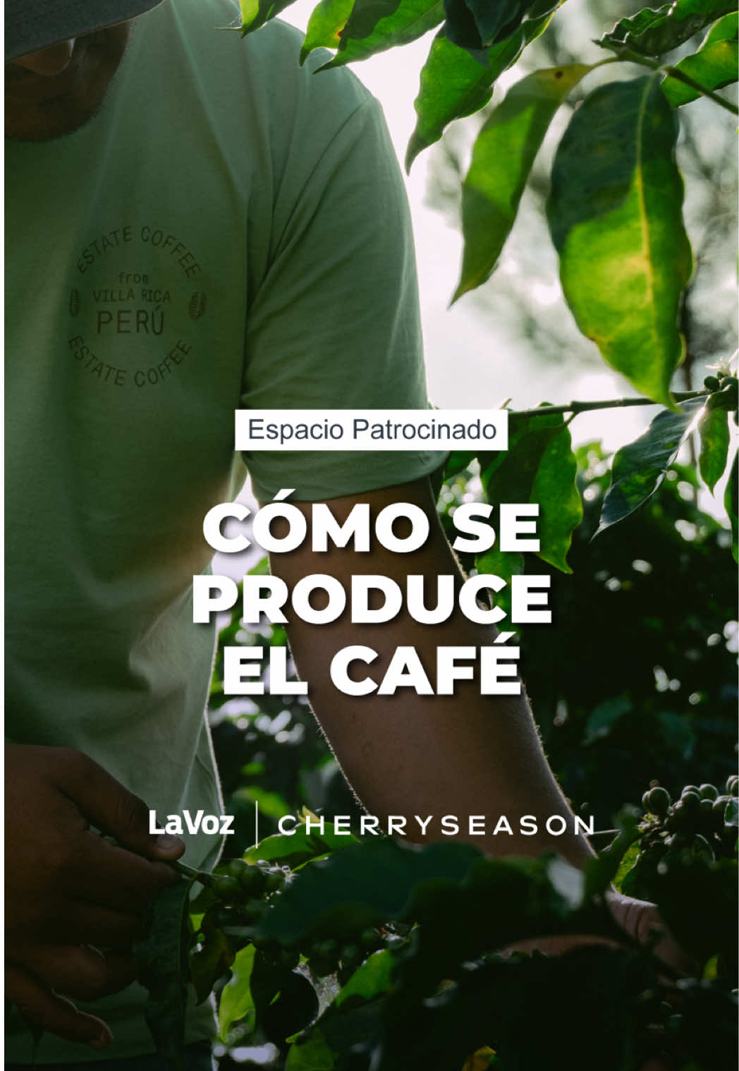 @lavozcomar