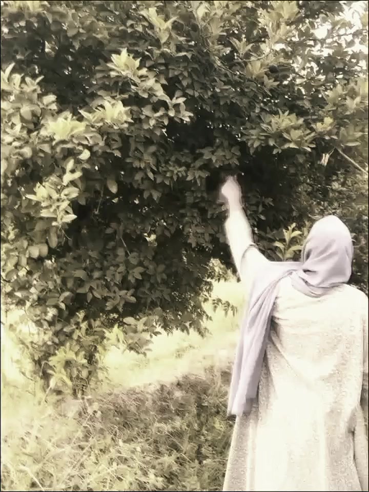 @🔥🦁راجپوت زادی🦁🔥