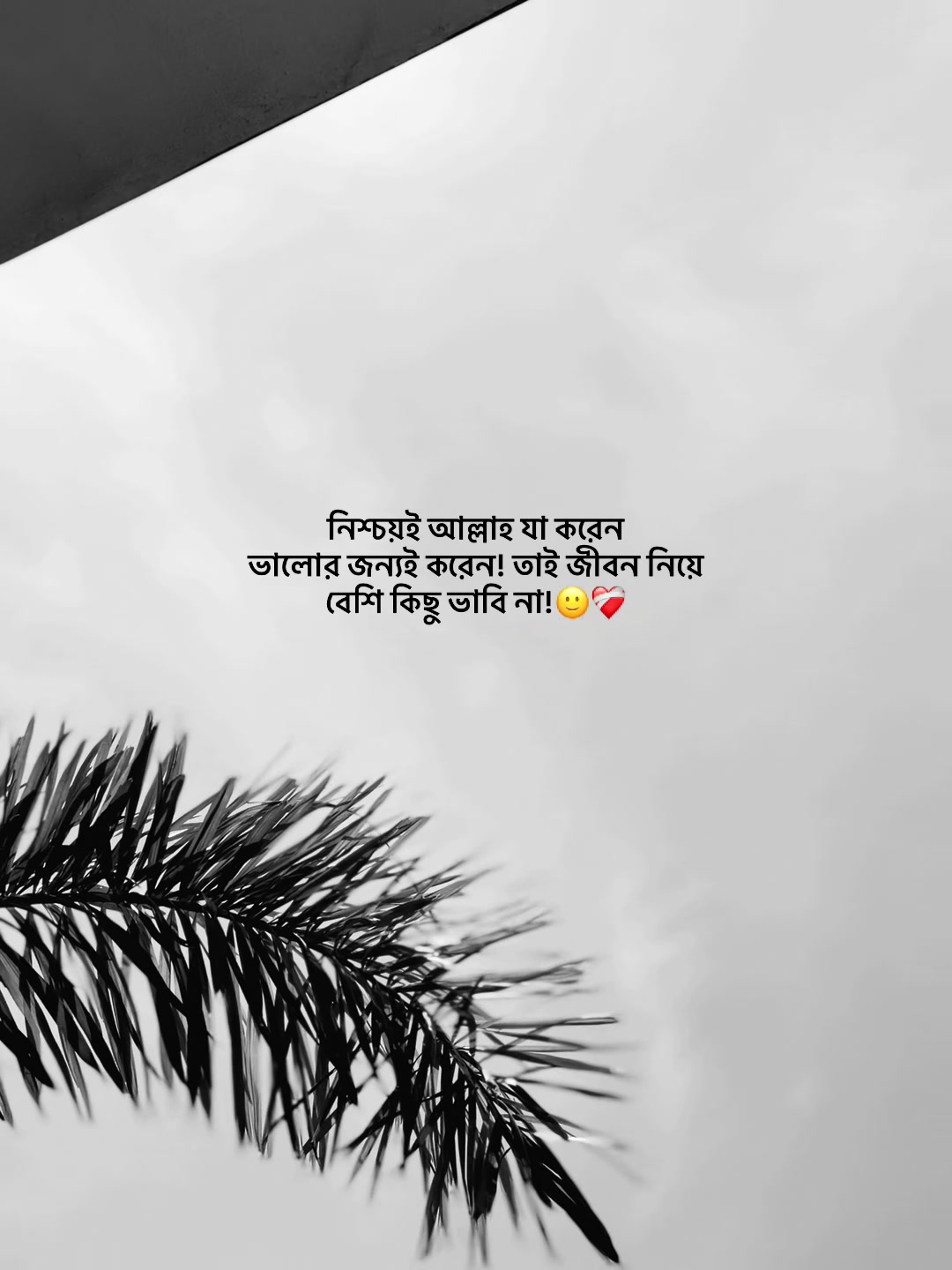 @आईएएन ┊🐥