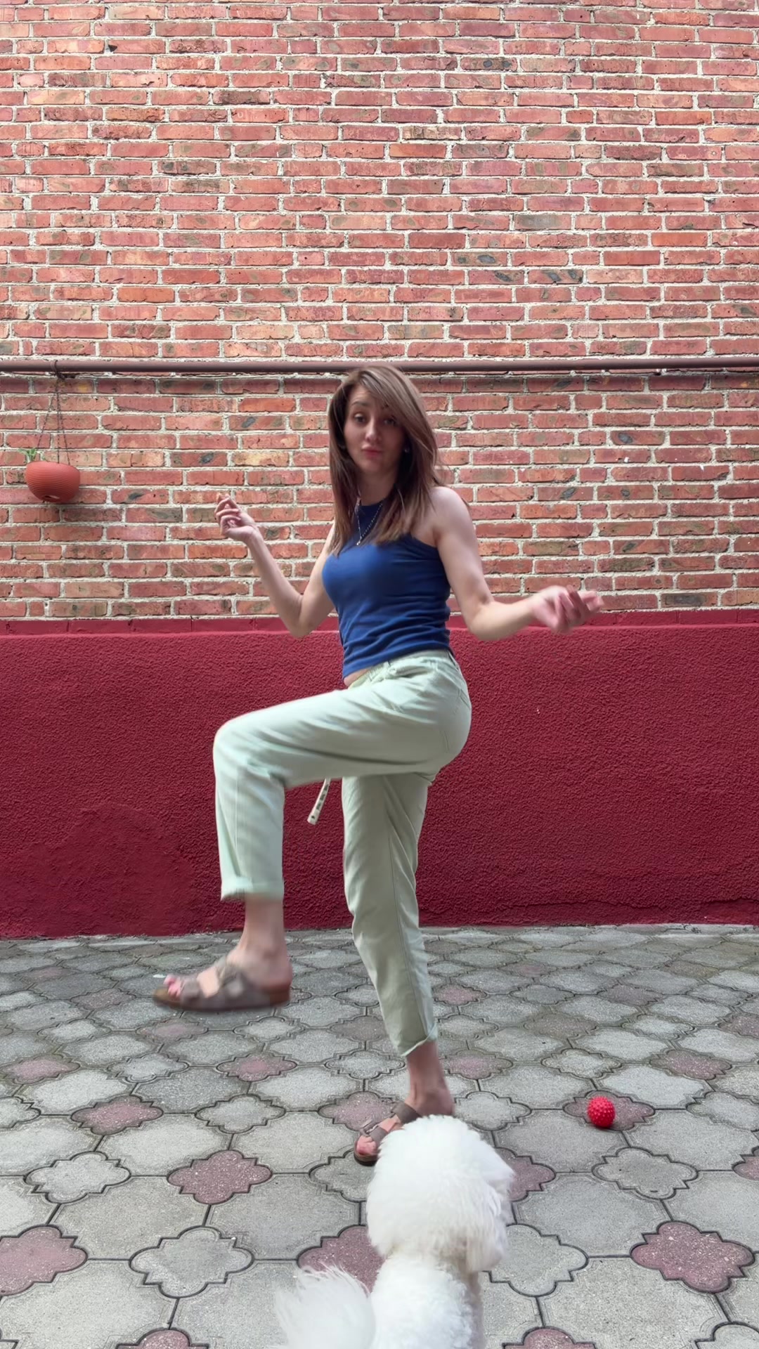 @el_i_n_k_a_