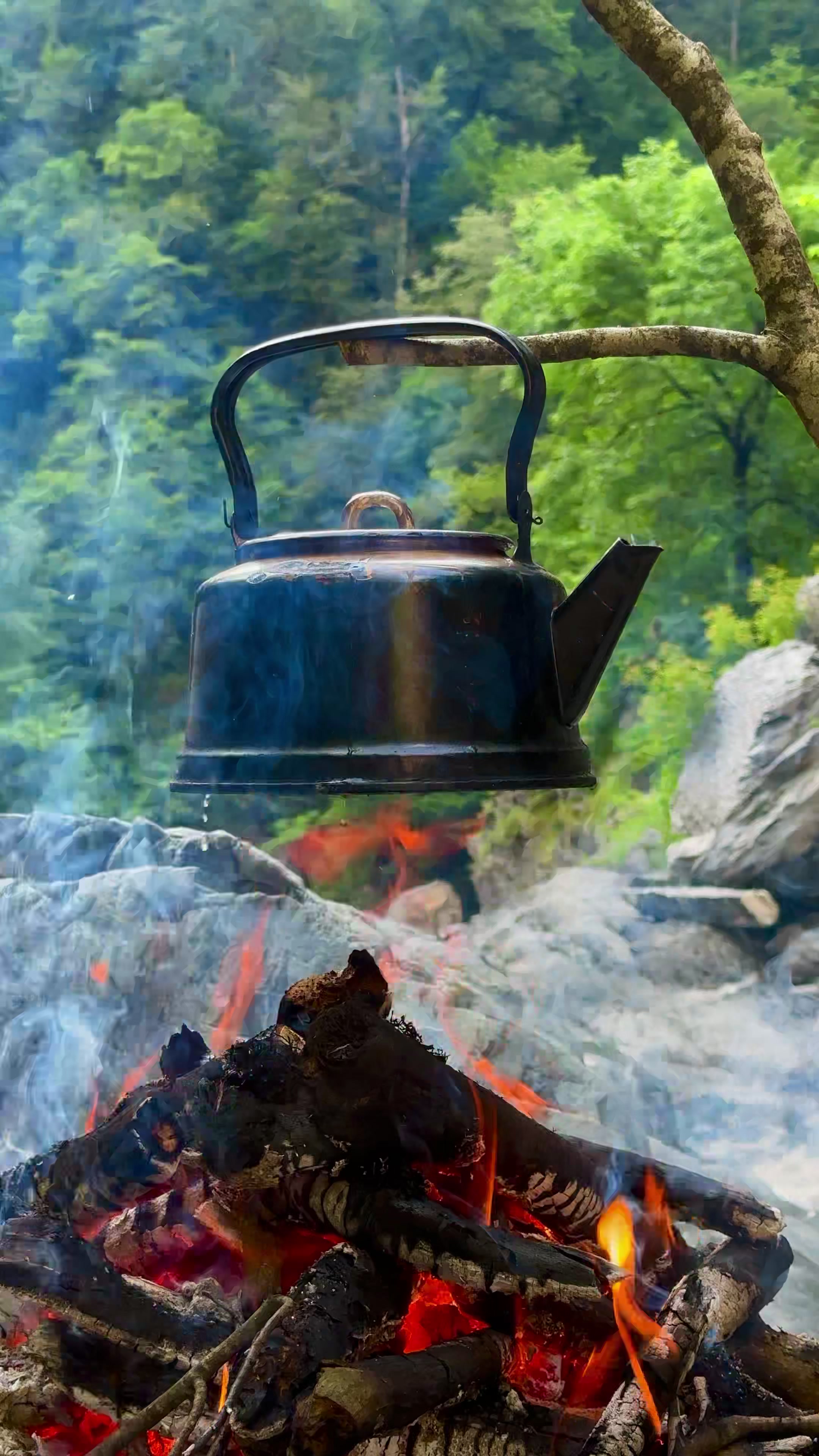 @𝑨𝒅𝒊𝒍𝒐𝒗🌿