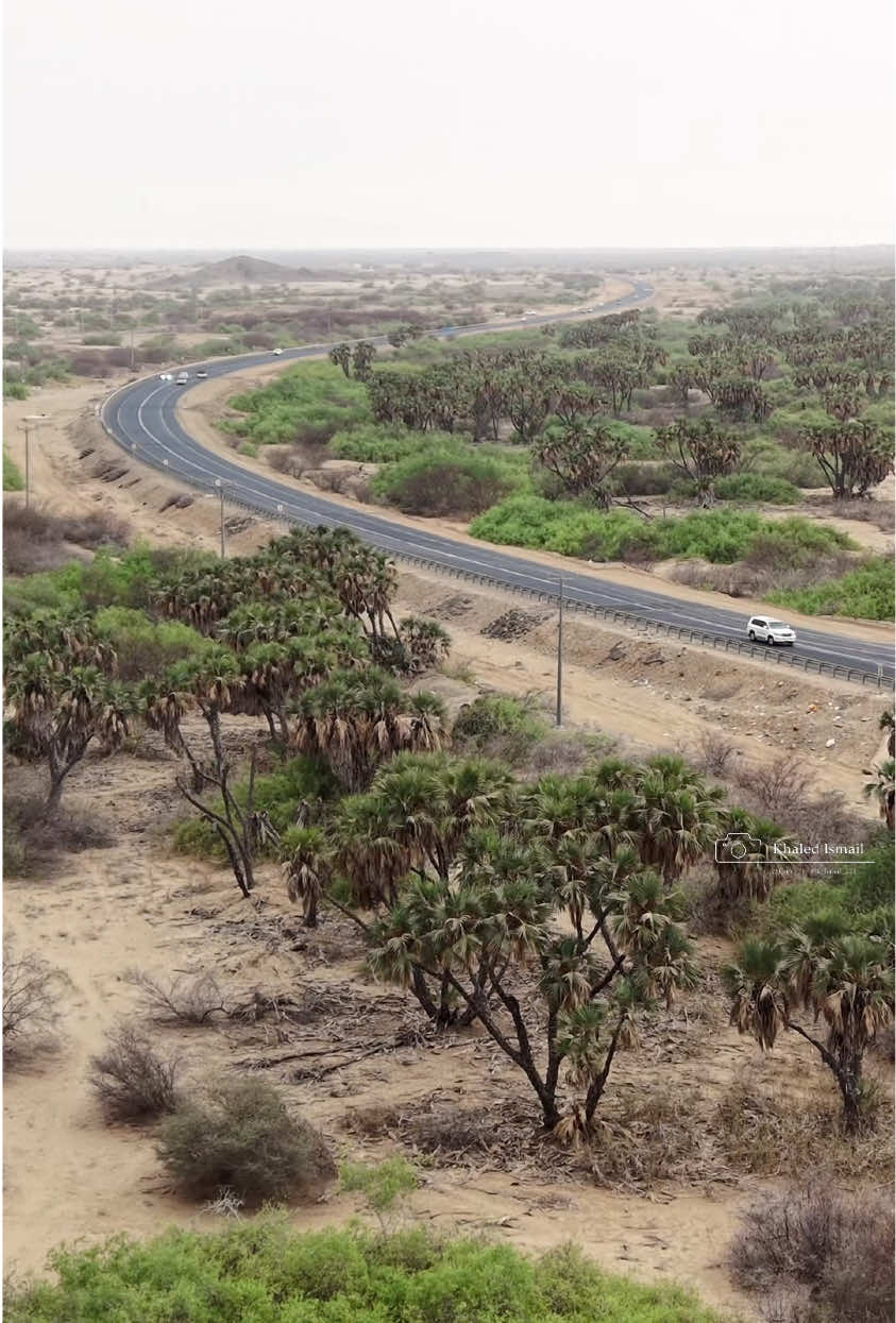 @هادي العلواني : القنفذة