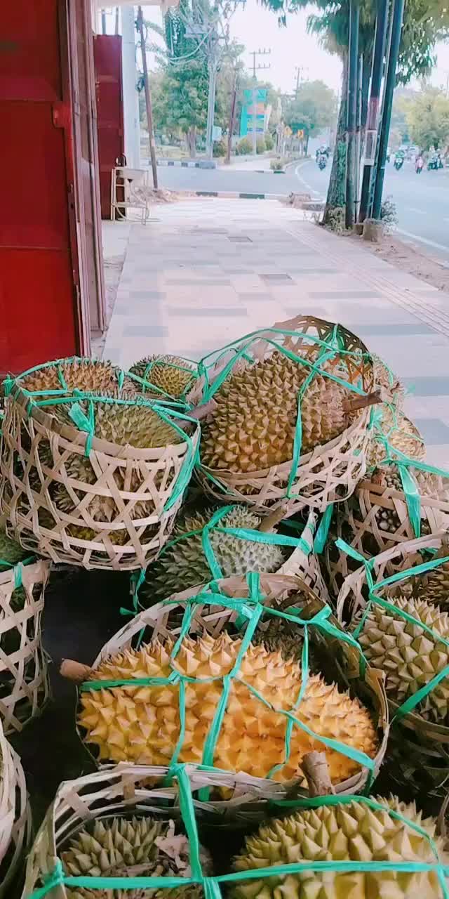 @Kenzhi Durian Tuban